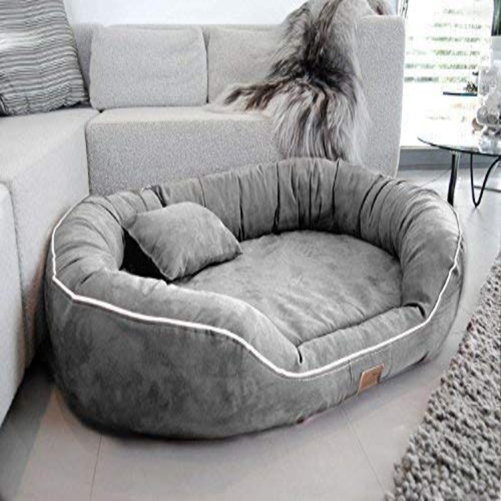 Sofa dog bed