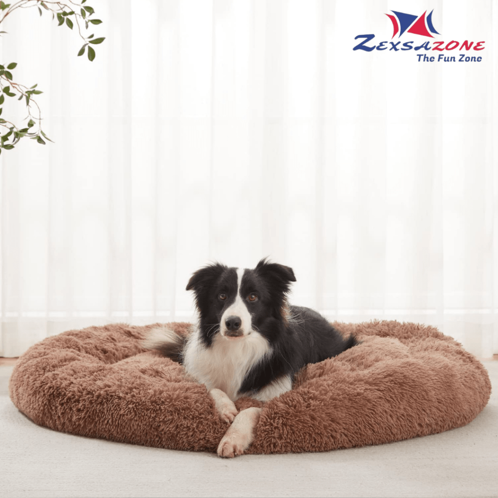 Which is the Best Dog Bed