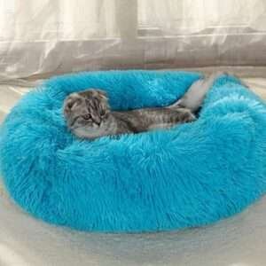 Blue cat bed dog beds cat beds